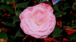 IMG_5410.JPG