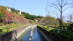 IMG_5463.JPG