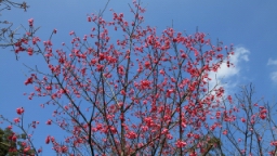IMG_5486.JPG