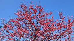 IMG_5589.JPG