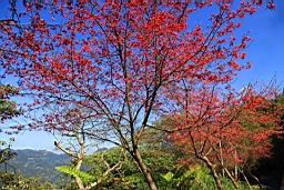 IMG_5590.JPG