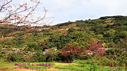 IMG_5773.JPG