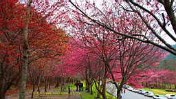 IMG_5785.JPG