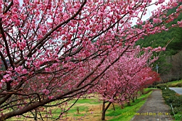 IMG_5805.JPG