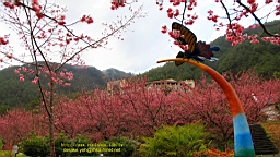 IMG_5833.JPG