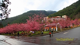 IMG_5841.JPG