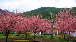 IMG_5843.JPG