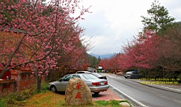 IMG_5881.JPG