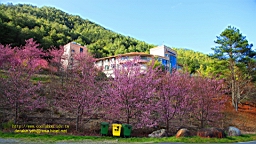 IMG_6147.JPG