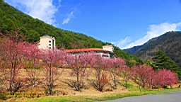 IMG_6335.JPG