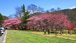 IMG_6351.JPG
