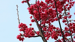 IMG_6391.JPG