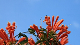 IMG_6412.JPG