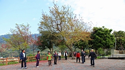 IMG_6413.JPG