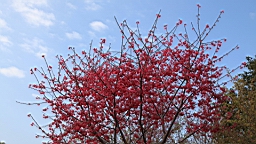 IMG_6414.JPG