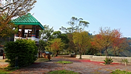 IMG_6419.JPG