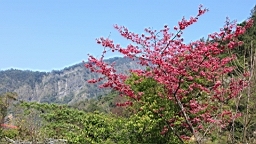 IMG_6423.JPG