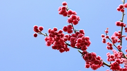 IMG_6424.JPG