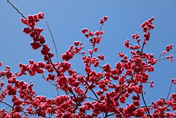 IMG_6429.JPG