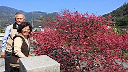 IMG_6430.JPG