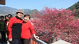 IMG_6431.JPG