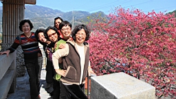 IMG_6433.JPG