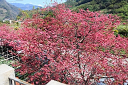 IMG_6434.JPG