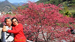 IMG_6435.JPG
