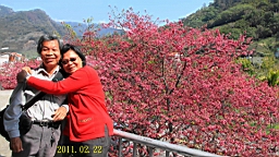 IMG_6436.JPG