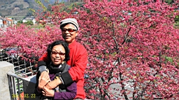 IMG_6437.JPG