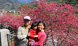 IMG_6438.JPG