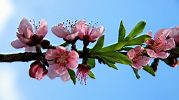 IMG_6460.JPG