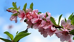 IMG_6462.JPG