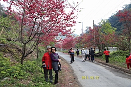 IMG_6465.JPG