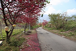 IMG_6472.JPG
