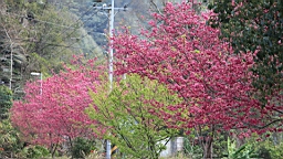 IMG_6475.JPG