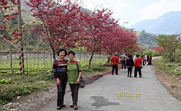 IMG_6476.JPG