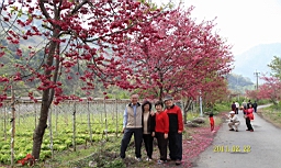 IMG_6478.JPG