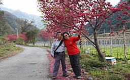 IMG_6479.JPG