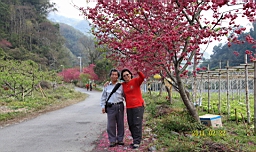 IMG_6480.JPG