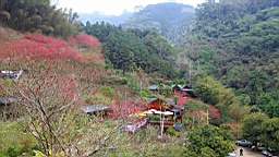IMG_6549.JPG