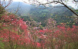 IMG_6555.JPG