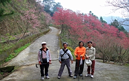 IMG_6560.JPG
