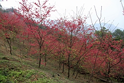 IMG_6564.JPG