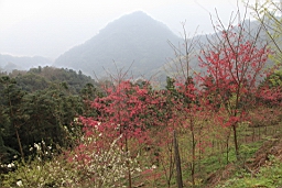 IMG_6574.JPG