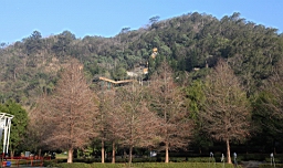 IMG_6623.JPG