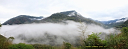 IMG_6782M.JPG