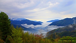 IMG_6787.JPG
