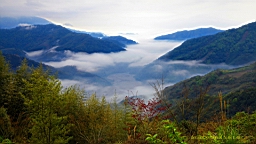 IMG_6790.JPG