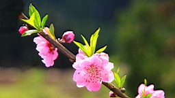 IMG_6870.JPG